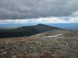 Болотная (гора)