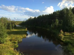 Руга