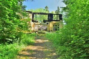 Усадьба «Культила», где в 1880-х гг. жил врач-терапевт С.П. Боткин (Тарасово (Тарасовское))