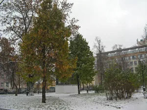 Улица Красного Курсанта (Большая Спасская). Участок культурного слоя города Санкт-Петербурга XVIII — XX вв.