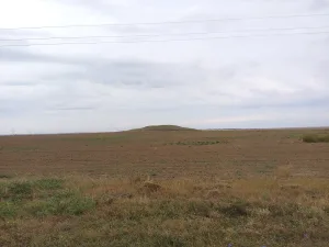 Q122398102
