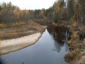 Коленьга