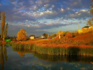 Курцы