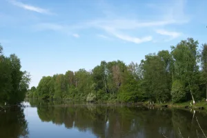 Парк с прудами (Денежниково)