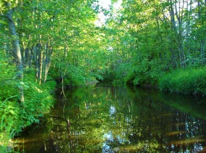 Чегла