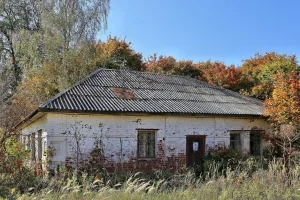 Дом купца Софронова (Шапкино)