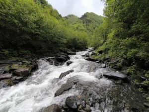 Сараор