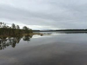 Иля-Лаваярви