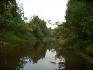 Большая Чача