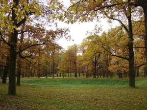 Ботанический сад (Гатчина)