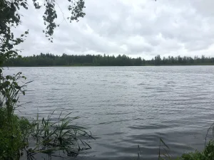 Дроздово озеро