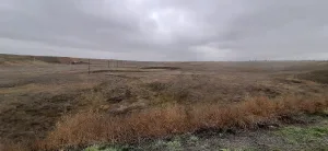 Кегульта