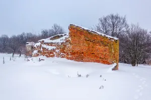 Хозяйственный навес (Подвязье)