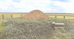 Синташта