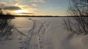 Сарыйярви