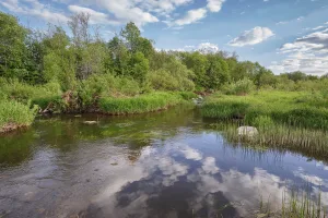 Урдома