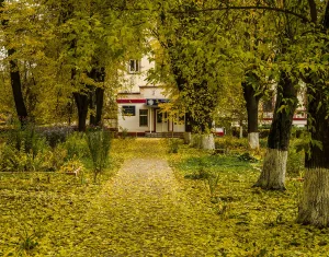 Парк (Электроугли)