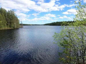 Амбарное (озеро, Карелия)