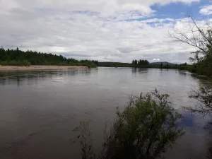 Чара