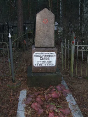 Могила А.М. Салова, Героя Советского Союза (Сестрорецк)