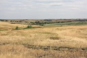 Киндерля