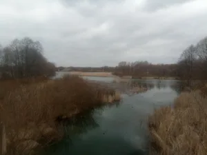 Черепетка