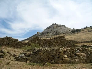 Q122578406