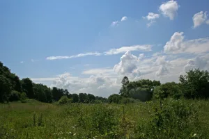 Городище «Боровский курган»