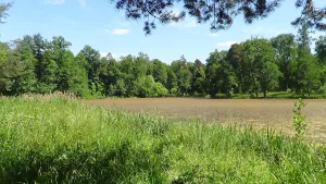 Александровский парк (Петергоф)