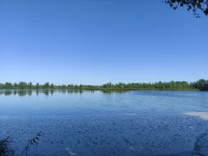 Шламонакопительное