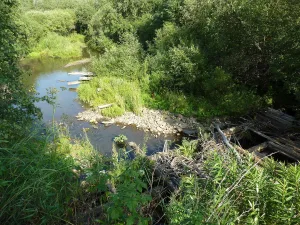 Куркатау