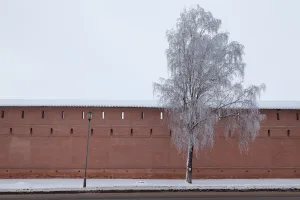 Прясло восточной стены между Северной башней и Южной башней (Суздаль)