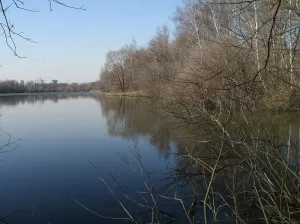 Чёрное озеро