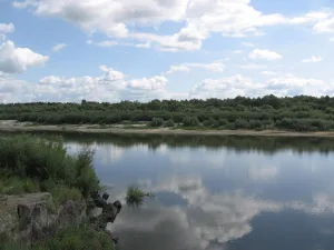 Сура