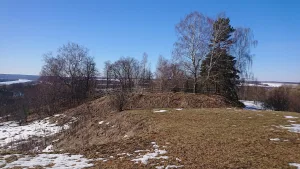 Городище «Бёхово» (Бёхово)