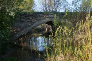 Ужовка