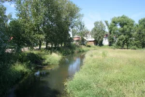 Нерехта