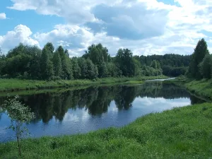 Таржеполка
