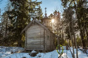 Часовня Дмитрия Солунского (Савиново)