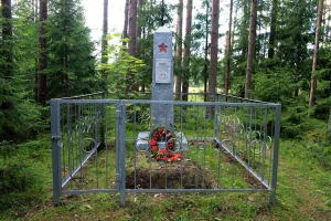 Братская могила красноармейцев, погибших в борьбе с белогвардейцами в 1919 г. (Ванакюля)