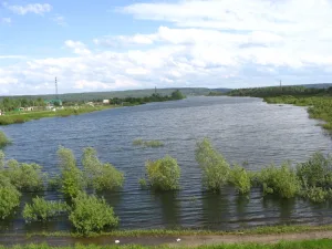 Сенная Курья