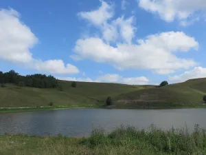 Мошкара