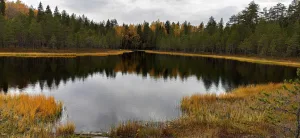 Урская Ламба