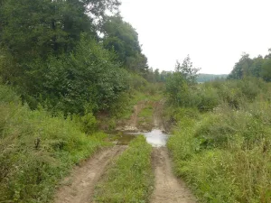 Рожня