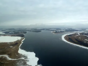 Таз