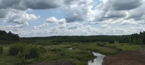 Асавка