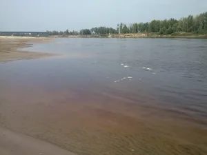 Тавда