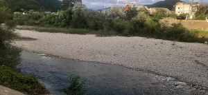 Нечепсухо