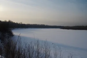 Чумыш