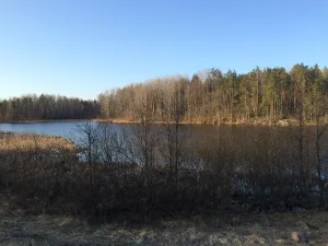 Большое Боровское